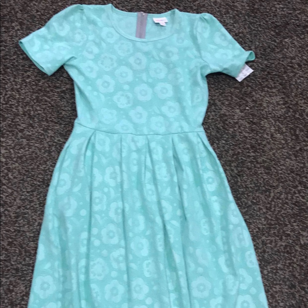 Mint lularoe Amelia